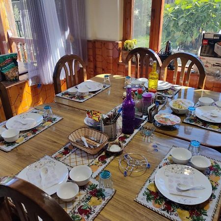Aroma Taru Villa / Cottage ,Manali Kültér fotó
