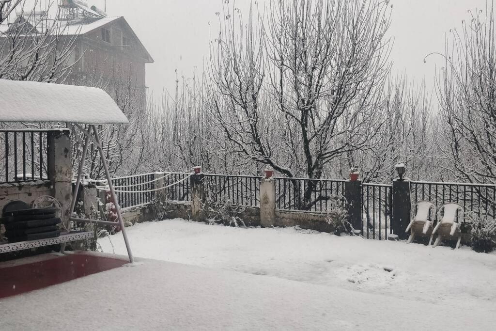 Aroma Taru Villa / Cottage ,Manali Kültér fotó