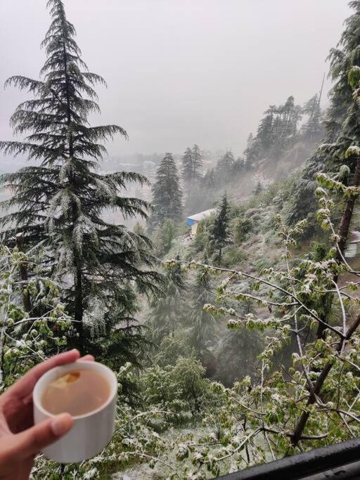 Aroma Taru Villa / Cottage ,Manali Kültér fotó