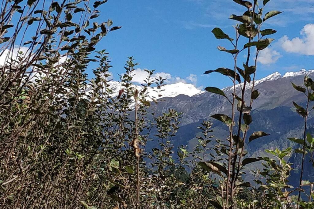Aroma Taru Villa / Cottage ,Manali Kültér fotó