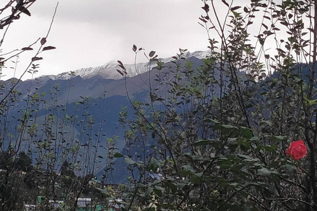 Aroma Taru Villa / Cottage ,Manali Kültér fotó